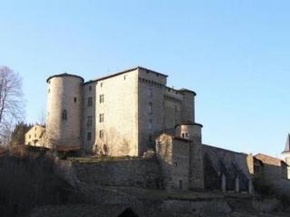 Chateau De Chalmazel Thiers Eksteriør billede